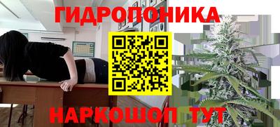 наркотики Пугачёв