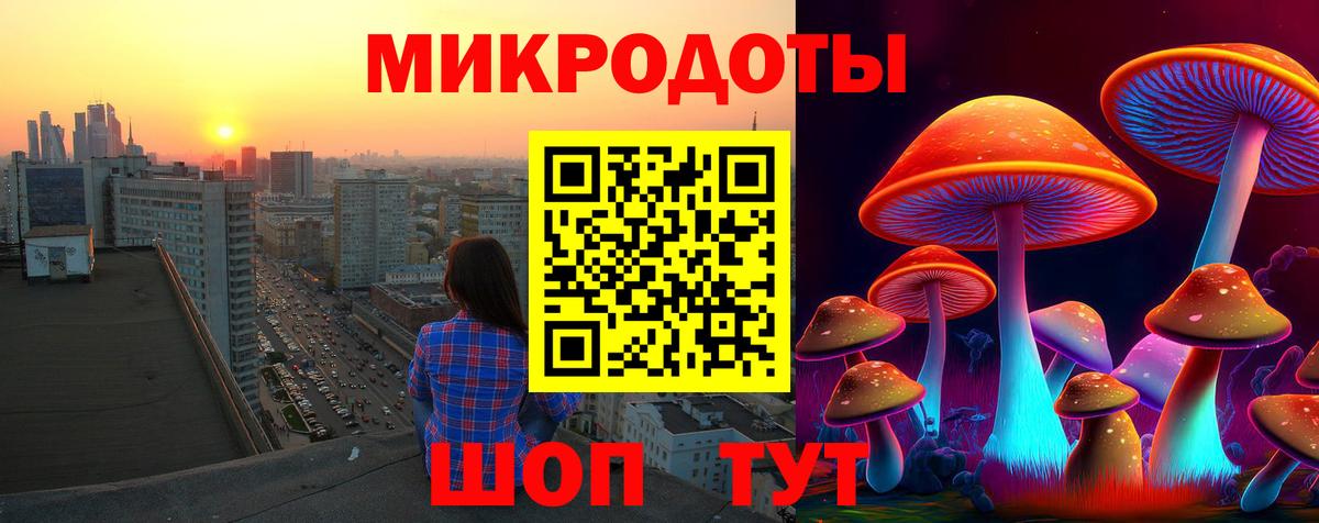 Галлюциногенные грибы Psilocybine cubensis Соль-Илецк