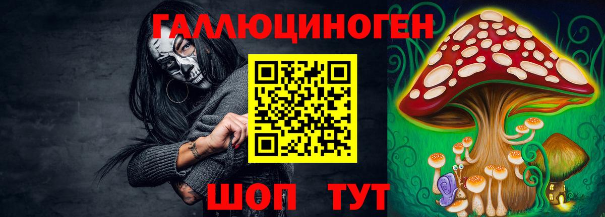 Псилоцибиновые грибы GOLDEN TEACHER  Вход с VPN  продажа наркотиков  Соль-Илецк 